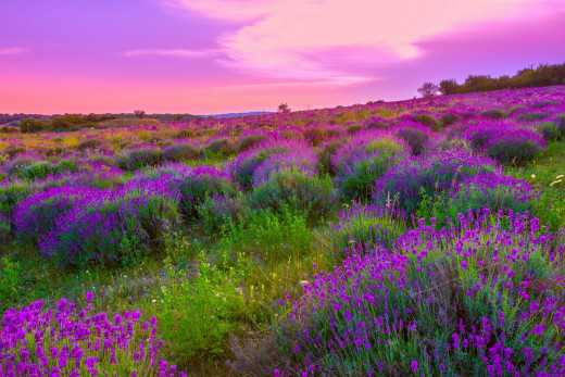 859676 (a): :2950x1967